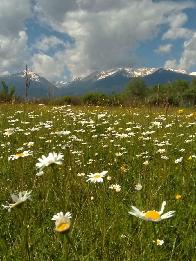 Belvedere Luxury Spa Apartments Bansko Exterior photo
